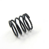 XP-11342 Touring Spring HPS C2.5-2.8 17.5mm Made By Axon 1pair